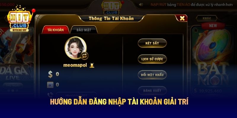 Hướng dẫn đăng nhập tài khoản giải trí